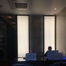 달핀피부관리 | 강남을 대표하는 피부관리, 트리니티스파