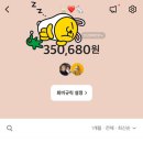 욜로 - 5096 | 욜로