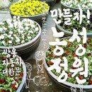 바느질정원 이미지