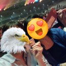 New 궁전 | 아그라바 궁전으로 갈 수도 있어: 뮤지컬 알라딘 부산 첫공 기록