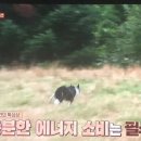 도선농장 이미지