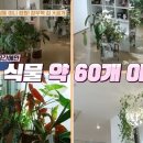 가보자 이미지