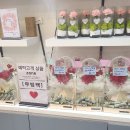 피움디움