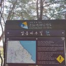 학동한옥펜션 이미지