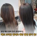 믹스짐분당 | 분당 웨딩 염색 동경하다 매트브라운 컬러 톤다운