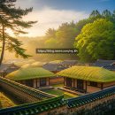 수원-1729 | 경기도 설날 가볼만한곳 아이랑 갈만한곳 BEST5