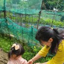 사랑몬테소리어린이집 이미지