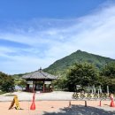 구례의길(섬진강길) | 구례 섬진강 대나무숲길 관광지 아이랑 후기