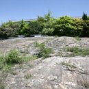 당산나무민박 이미지