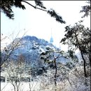 ▣- 12/25(화) 크리스마스 행복산행 서울 남산[파랑새대장] 이미지