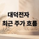 대덕전자 | 대덕전자 투자 매력 vs 경고 신호, 당신이라면?