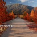 신동와인대전 이미지