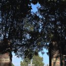 남산다락골 작은도서관 이미지