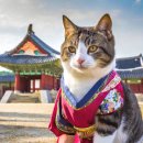 주  정형외과 이미지