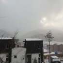 양지포레스토리 | 양지포레스토리 타운하우스 생활 후기 (1년차)