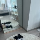 예지상회 이미지