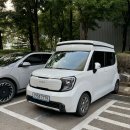 화강목장 | 강원도 여행 평창역 쏘카 국내 여름 여행지 가볼만한곳