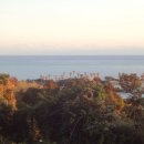 법환동-22 이미지