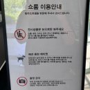 pet30거2045 | [용인/처인구] 데이트 가볼 만한 곳, 애견 동반 대형카페 "빌라드파넬"