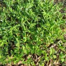 부운농장 이미지