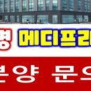 살랑메디 이미지