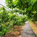 월은농장 이미지