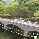 마곡사 주차장1 이미지