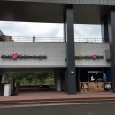 진산애향기