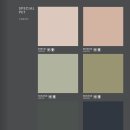 라솔 이미지