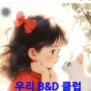 비앤디 이미지