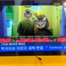 경성세탁소 이미지