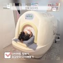 숫자로 알아가는 내 몸 관리 | 구리 다이어트 정체기, 몸부터 돌아본 구리 체형관리 후기｜거꾸로가는시간 구리갈매점
