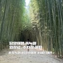 개구멍 | 담양여행 추천 죽녹원 입장료, 주차장 정보 꿀팁, 개구멍 뜻