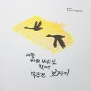 새가위소리