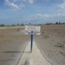 19/03/27 Indonesia church group tackles menace to mangroves - Environmentalists accuse salt firm of brazenly illegally destroying forest, people's liv 이미지