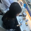 꿈과 현실