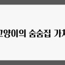 숨숨집 이미지