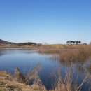 내림 펜션 이미지