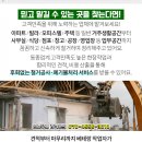 솔터이비인후과의원 네이버블로그