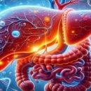 (주)글로벌메디 | 디앤디파마텍 9조./★dd01/ 글로벌 제약사, 지방간 신약 잇단 중단…韓기업에 기회 열렸다