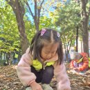 구암공원 산책활동(math &#39;5&#39; 자연물로 오각형 만들기) 이미지