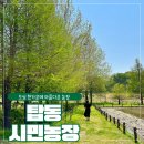 정문농장 | 수원 5월에 가기 좋은 곳 계절마다 이쁜 탑동시민농장