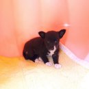 학산로49번길 이미지