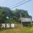 파주 오산리금식기도원 기독교서점 방문 후기(feat. 사진찍기 좋은 곳 추천)