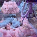 기쁨주는식당 | ~250630, 차근차근 숙제 하고나면 기쁨이 두 배!