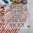 대란과일 | 프레젠트프로젝트 고쟁이 대란 이유? 10개월 아기 실착 후기 + 사이즈 코디 정리