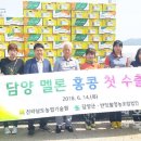 담양 반딧불 이미지