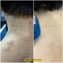 더플랜디