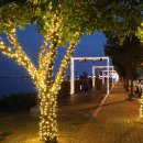 평택호정원 이미지