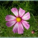 빗물펌프장옆 이미지